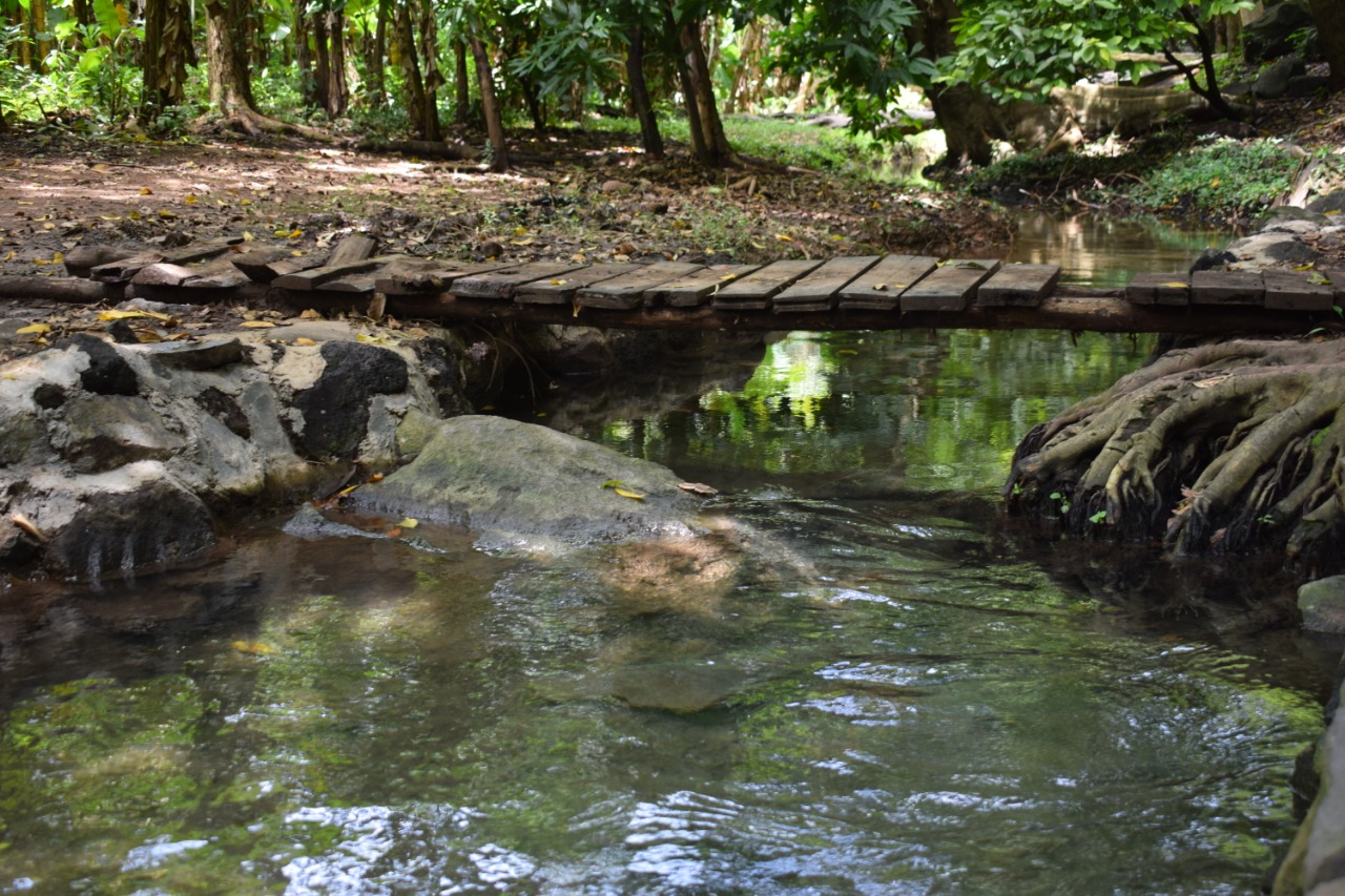 aguas-agrias